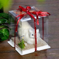 Meaningful Gift Box Standing Cat Model Gift Box
