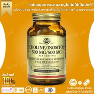 Solgar Choline/Inositol 500 mg 100 Vegetable Capsules(No.3288)