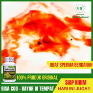 Obat Sperma Bercampur Darah - Obat Sperma Berdarah Air Mani Campur Darah Obat Antibiotok Hematosperm