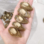 野生淡干干鲍鱼 dried abalone 100g 10-20粒足干