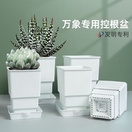 Miki Vientiane Multi-Control Root Flowerpot Plastic Square High Waist Small Old Pile Twelve Rolls Yu