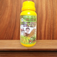 KALI HỮU CƠ giúp LÚA CHỖ ĐỀU ĐỒNG LOẠT CHỐNG NGHẼN ĐÒNG