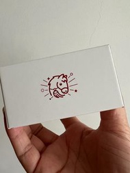 Apple AirPods Pro藍牙耳機【限定】