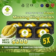 5 BOX | Premium SG Durian Musang King (MSW) 100% FRESH | Bitter-Sweet & Creamy | Same-Day Delivery.