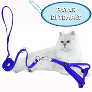 Cat Harness Y Ferret Oter Dog Puppy Animal Harness Lead