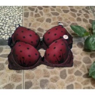 Bra H&M polkadot maroon size 34B, 36A original branded(Lasenza,triumph