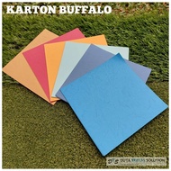 |EXECUTIVE| Buffalo Plano
