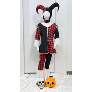 Kids Jester Harlequin Costume