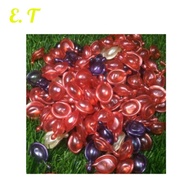 50pcs Vitamin Rambut Hair ET