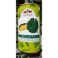 BELLA F1 (100GRAMS OR 840 SEEDS) HYBRID CALABASA BY EAST WEST SEEDS