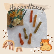 Whimzees XS | Chew Toys Gigitan Hamster | Whimzees Toothbrush