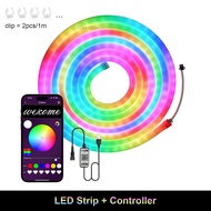 cod Dream Color LED Neon Lights 360 Lighting 5V USB Powered WS2812B RGBIC Addressable 1m 3m 5m IP67 