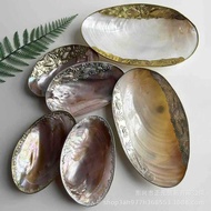She Shell Tray Pearl Shell Fruit Plate Dried Fruit Plate Plate Large Clam Shell Household Storage Tr