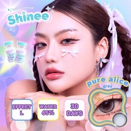 🔥 คอนแทคเลนส์ ✨สวยมากกก✨สี Brown/Gray✨ pure alice (Shinee)