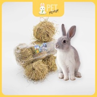 Expensive Ball For Rabbits Guinea Pig Hamster Ferret Chinchilla Prairie Dog Rodents Turtle