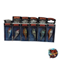 RAPALA NEW DESIGN 5CM CLACKIN"CRANK CASTING BAIT