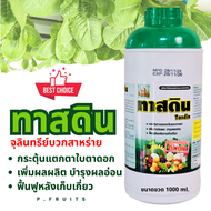 ดินเน่า ชุดทาสดิน ฝาเขียว 3ขวด(2 แถม 1)ลอตใหม่ ส่งไว จุลินทรีย์ทางดินและใบ ขวด1000 ml.