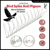 50cm 60 Stainless Steel Bird Spike Bird And Pigeon Spikes Anti Bird Spikes Bird Repellent halang Bur