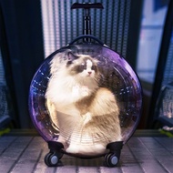 Cat Trolley Transparent Cat Bag Portable Handheld Space Capsule Cat Cage Pet Dog Suitcase Stroller
