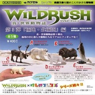 日本正版 真世界動物誌 扭蛋 北極 動物 極地 第三彈 海洋堂