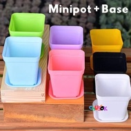 Chusok - Plastic Pot Square Pot/ Pot/ Succulent Pot/ Plus Coaster 7x7x7.5 cm