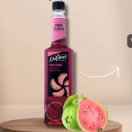 Davinci Pink Guava Syrup January 2026