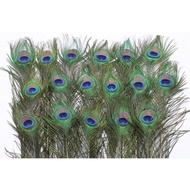Peacock Feather Pure Natural Decor Religion Ceremony Wedding Peacock Feathers