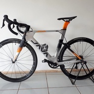 Roadbike Carbon Java Suprema
