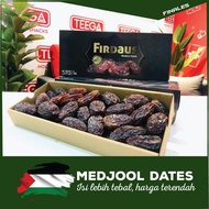 Medjool Palestine Dates Jumbo Big Size Madjoul Palestine Dates Medjool Firdaus Madinah 2024 Fresh Medjoul Dates