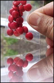 20 tablet vitamin ayam import / multivitamin lengkap ayam laga / multivitamin ayam tarung / vitamin
