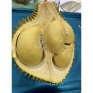 D24 XO Raub Tras Durian/ Xo durian/ D24