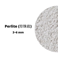 Augustfame - 2 Liter Perlite 珍珠岩 3-6mm For Cactus & Succulents (Natural Expanded Volcanic Perlite) P