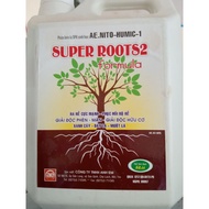 Super Root s2 has strong roots and restores roots
