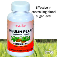 Insulin Plant 500mg 120-Capsule Anti-diabetes Supplement