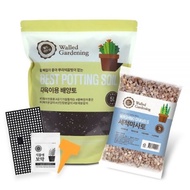 World Gardening potting soil for succulents 5 types set, 1 set