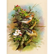 SDOYUNO 40X50Cm Sơn Theo Số Tranh Động Vật Tranh Trang Trí Thủ Công Bộ Đồ Thủ Công Cho Người Lớn