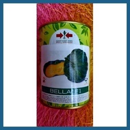 ✈ ╭ □ SQUASH HYBRID/ PUMPKIN SEEDS BELLA F1 50GRMS VEGETABLE SEEDS EAST-WEST