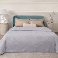 JUBILY ชุดผ้าปูที่นอน 6 ฟุต KING (Set 3 ชิ้น) - THE DREAM JOURNEY COLLECTION 460 Series