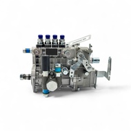 Fuel Pump Assembly (Eurostar Tractor 4540-III)