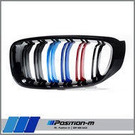 Front Grille BMW F34 320d GT