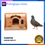 Pagupon Merpati Pagupon Kandang Burung Dara Gupon Merpati Murah