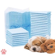 Dog Training Pad Pet Pee Pad Dog Potty Pads Cat Dog Pee Training Pad