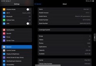 iPad Air4 256g 插卡 連筆
