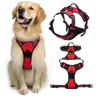 Pet Factory
