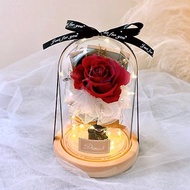 永生花玻璃盅-優雅經典紅 l 日本玫瑰 永生花玻璃罩 乾燥花
