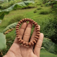 gelang jenitri 9mm_14mm kualitas bagus