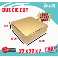 CARDBOARD BOX CARDBOARD PACKING BOX PIZZA DIE CUT CB3 PLAIN 22 cm x 22 cm x 7 cm