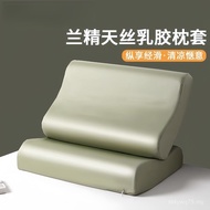 Musim Panas Lenzing Tencel Lateks Sarung Bantal Sepasang 40x60 Ais Sutera Sarung Bantal Bantal Memor
