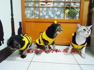 【皮蛋媽的私房貨】CLO0750 貓咪/狗狗☆蜜蜂裝☆寵物衣服 小蜜蜂裝//變身裝-連帽 BEE