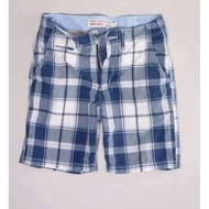 AE american eagle Plaid/Plaid Shorts/Men's Shorts
